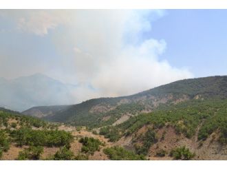 Tunceli’deki Orman Yangını Kontrol Altına Alındı