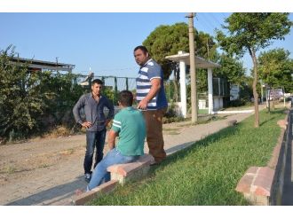 Aydın’da Trafik Kazası: 1 Yaralı