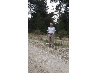 Seyircek Kaya Mezarları Yolu Onarım Bekliyor