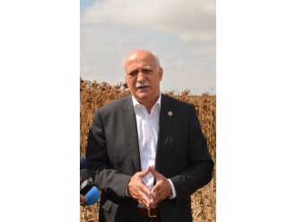 Ayçiçeği Üretimi Açığı Kapatmaya Yetmiyor