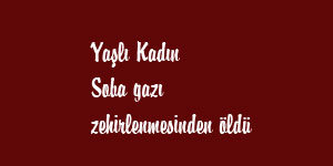 Karbonmonoksit gazından zehirlendi