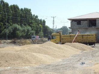 Malazgirt’te Buğday Alımları Başladı