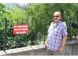 Bu Bahçeden Meyve Yemek Helal