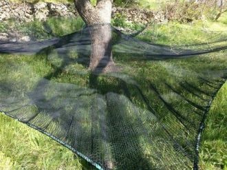 Dutlar Daha Hijyenik Koşullarda Toplanacak