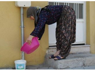 Sıcaklarda Sokak Hayvanlarına Sahip Çıkalım