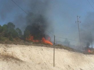 Tatil Villalarının Bulunduğu Alanda Yürekleri Ağza Getiren Yangın