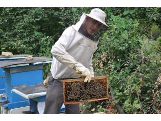 İnternetten Araştırarak Bal Üretimine Başlayan 17 Yaşındaki Genç Bir Milyon Arıya Bakıyor