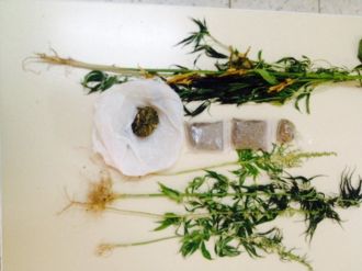 Salihli’de Uyuşturucu Operasyonu: 9 Kişi Tutuklandı