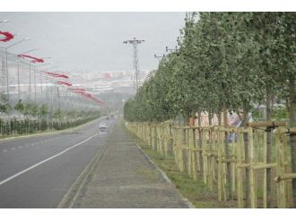 Büyükşehir, 3 Ayda 5 Bin Ağaç Dikti