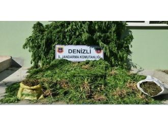 Denizli’de Uyuşturucu Operasyonunda 2 Tutuklama