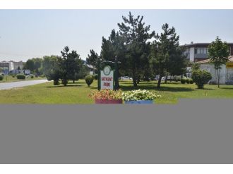 Çiçek Açan Variller