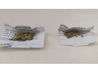 Karabük’te Uyuşturucu Operasyonu