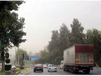 Aydın Yaz Yağmuruyla Serinledi