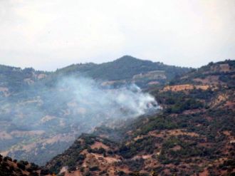 Zeytinlik Alanda Başlayıp Ormana Sıçrayan Yangın Korkuttu