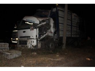 Tavuk Kamyonu Refüje Çıktı 1 Yaralı