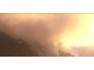 İzmir’de Orman Yangını