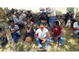 Ağrı Dağı’nda Canlı Kalkan Eylemi