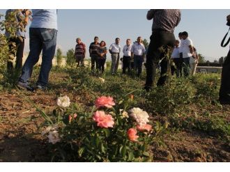 Iğdır’da Tarımsal Nüfus Gençleşiyor Projesi