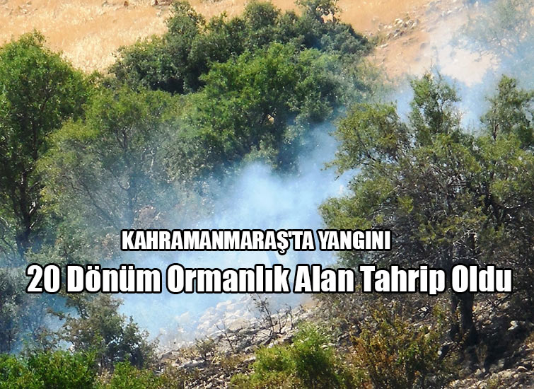 Kahramanmaraşta Orman Yangını