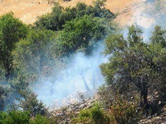 Kahramanmaraş’ta Orman Yangını