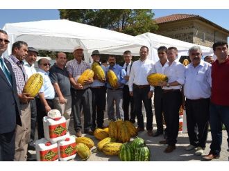 Tarım Kültür Ve Hayvancılık Festivali İptal Edildi