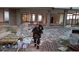 Çatıda Mahsur Kalan Köpeği İtfaiye Kurtardı