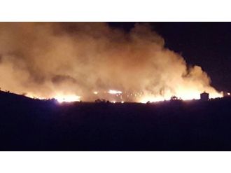 Yalova’da 4 Dönümlük Zeytinlik Kül Oldu