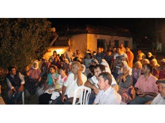 Endüstriyel Orman Kesimine Tepki