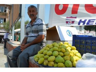 Söke’de İncir Üreticisinde Çatlama Ve Personel Sıkıntısı