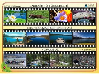 Asof’tan Basın Duyurusu