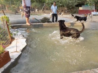 Haydos Sakinleri Havuzda Serinliyor