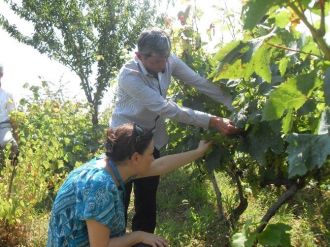 İzmit Belediyesi Köylülere Yol Gösteriyor