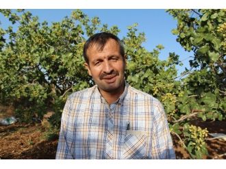 İl Dışından Siirt Üzümüne Rağbet