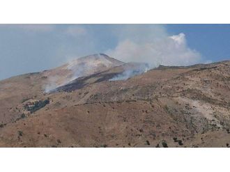 Adıyaman’da Orman Yangını