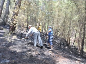 Muğla’daki Yangına İlk Müdahale Vatandaşlardan