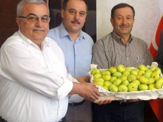 Aydın Sıcağı Bu Proje İle Çiftçiyi Serinletecek