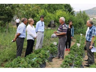 Rektör Kılıç, Tarımsal Üretim Sahalarını Gezdi