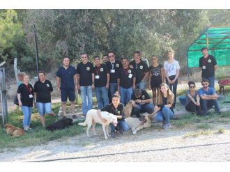 Sokak Hayvanlarını Besleyip Tedavi Ettiler