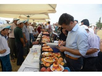 Nilüfer’de ‘Şeftival’ Coşkusu