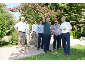 Pamukkale’de Yeşil Alanlar Oluşturuluyor