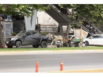 At Arabası Trafikte