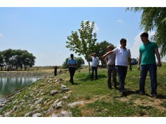 Çifteler Sakaryabaşı Örnek Oluyor