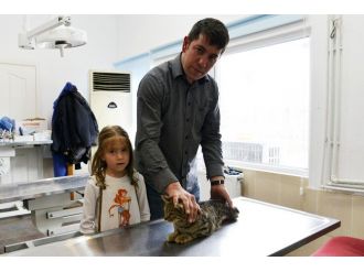 Sahiplendirmede Rekor