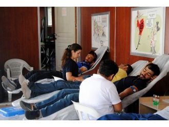 Siverek’te Kan Bağışı Standı Kuruldu