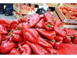 Ödemiş’te Salçalık Biber Ve Domatesler Satışa Çıktı