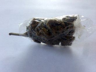 Antalya’da Şüpheli Şahısların Üzerinde Esrar Ve Pompalı Tüfek Ele Geçirildi