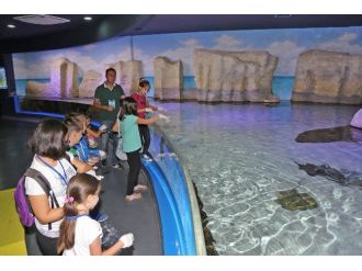 Sualtı Dünyası Yaz Okulu Başladı