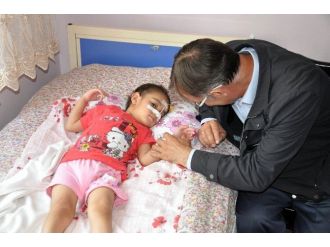 3 Yaşındaki Aslıhan’ın Yediği Erik Hayatını Kararttı