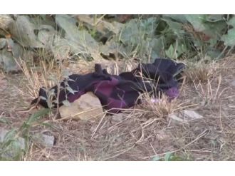 İstanbul’da Korkunç Cinayet !