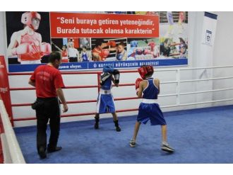 Minik Boksörler Sekasem’de Çalıştı